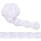 Polyester Lace Ribbons, Braided Lace Trim, White, 2-1/2 inch(65mm), 5yards/pc