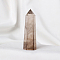 Natural Smoky Quartz Pointed Prism Bar Home Display Decoration, Healing Stone Wands, for Reiki Chakra Meditation Therapy Decos, Faceted Bullet, 18~20x70~80mm