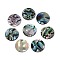 Natural Paua Shell Disc Charms, 12x1~1.5mm, Hole: 1.4~1.6mm