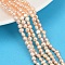 Natural Cultured Freshwater Pearl Beads Strands, Two Sides Polished, Grade 6A, PeachPuff, 3~4mm, Hole: 0.6mm, about 95~102pcs/strand, 14.17~14.33''(36~36.4cm)