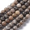 Natural Fossil Coral Beads Strands, Round, 10mm, Hole: 1mm
