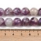 Натуральный лепидолит / пурпурный слюдяный камень бисер пряди G-G160-A01-02A-4