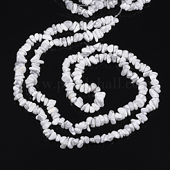 Синтетические Howlite чипы бисер пряди F048