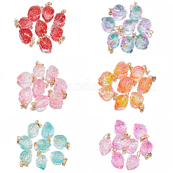 48шт 6 цвета двухцветные прозрачные стеклянные подвески&nbsp;GLAA-NB0001-38