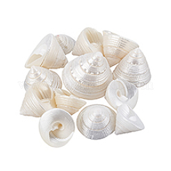 100 г украшения из натуральной ракушки&nbsp;SSHEL-PH0001-40A
