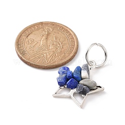 6шт 6 стиля подвески из натуральных и синтетических смешанных камней&nbsp;PALLOY-JF01946-02