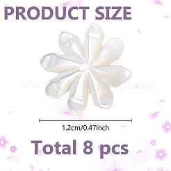 8 шт. натуральные бусины из ракушек FIND-GO0003-28