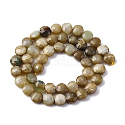 Природного нефрита Xiuyan бисер нитей G-C179-A43-03