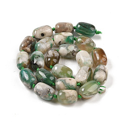 Натуральные вишневые агатовые бусины G-P535-H02-01A