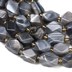 Природные Ботсвана агат бисер нитей&nbsp;G-P611-B02-01