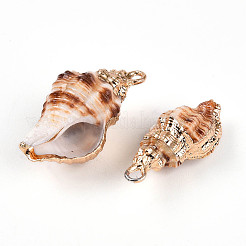Подвески из натуральной морской раковины&nbsp;SSHEL-N038-45