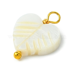 5шт 5 стиля подвески из натуральных ракушек PALLOY-JF03071