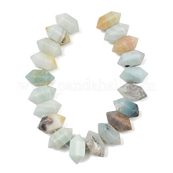 Нити бусин из натурального цветка амазонита с двойными концами G-T142-93