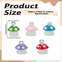 20 шт. 5 цвета непрозрачные подвески из смолы&nbsp;CRES-LP0001-09