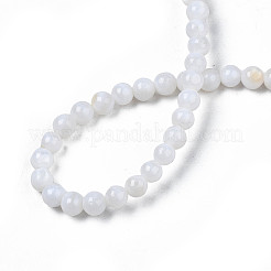 Нити бусин из натуральных пресноводных ракушек&nbsp;X-SHEL-N003-24-A01