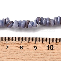 Бусины из натуральных пресноводных ракушек SHEL-B003-01G