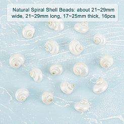 Натуральные спиральные бусы из ракушек SHEL-PH0001-42