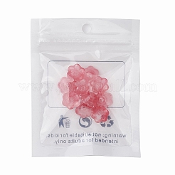 Прозрачные стеклянные бусины&nbsp;LAMP-FS0001-09E