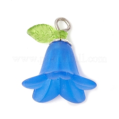 Комплект подвесок из матового акрила&nbsp;PALLOY-JF02421