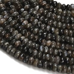 Натуральные нити бус из ларвикита G-Z110-B19-2x4mm