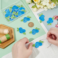 24 шт. черничные компьютеризированные вышивальные нашивки на ткани для приклеивания и пришивания&nbsp;PATC-BC0001-23