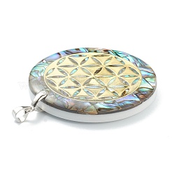 Подвески из натурального ушка / ракушки SSHEL-L019-02P