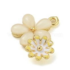 Стойки обшивки сплава эмали подвески&nbsp;FIND-M033-08A-01