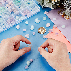 Прозрачные акриловые бусины TACR-PH0001-72