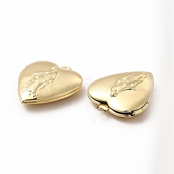 Подвески латуни медальон&nbsp;ZIRC-M120-02G