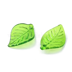 Прозрачные акриловые подвески TACR-YW0001-63