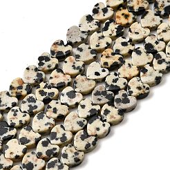 Природные яшмы далматин бисер нитей G-A272-A01-32