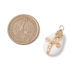 Подвески из натуральной ракушки с медной проволокой PALLOY-JF03113