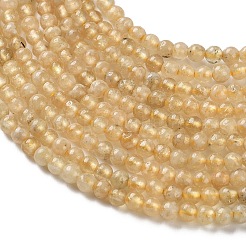 Бусины из натурального желтого граната&nbsp;G-Z129-C01-3mm-01