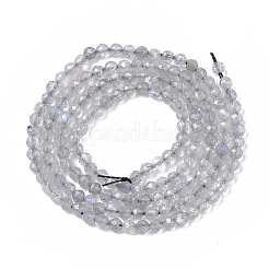 Природные лабрадорита бисер нитей X-G-S361-2mm-010