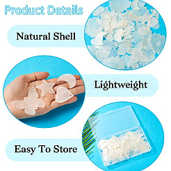 50 шт. 5 стиля кабошонов из натуральной ракушки с кружевной кромкой&nbsp;SHEL-TA0001-17