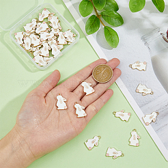 Подвески из сплава 40шт ENAM-DC0001-62