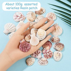 100 г 2 вида бусин в виде ракушек SSHEL-YW0001-08