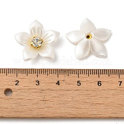 Латунные кабошоны FIND-K016-01B