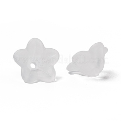 Прозрачные акриловые бусины&nbsp;PL560-1