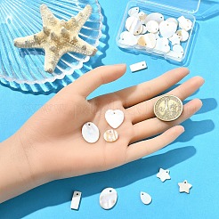 30шт 6 стиля подвески из натуральных пресноводных ракушек&nbsp;SHEL-YW0001-11