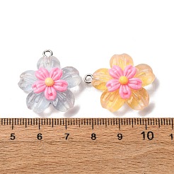 Прозрачные смоляные подвески RESI-A046-05A