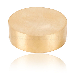 Латунное пресс-папье DJEW-WH20009-04G