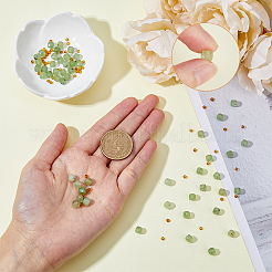 1 нить натуральных бусин пренита AJEW-FH0003-68