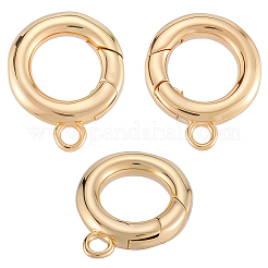 6 шт. латунные застежки с пружинным затвором&nbsp;KK-SC0006-42G-01