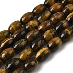 Природных тигровый глаз бисер нитей G-A275-A01-8x12mm