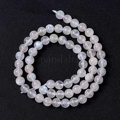 Бусины из натурального радужного лунного камня G-I249-B04-04