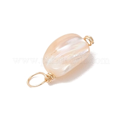 Натуральные ракушки самородки подвески PALLOY-JF02842