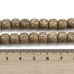 Натуральные бусины из семян рудракши бодхи WOOD-B010-A03-7x8mm