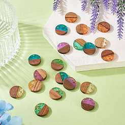 20шт 5 цвета подвески из смолы и ореха&nbsp;RESI-TA0004-43