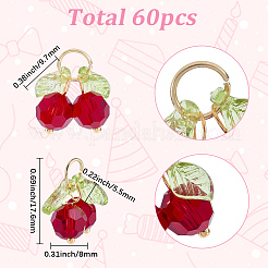 60 шт. подвески из вишневого акрила и стекла&nbsp;PALLOY-WH00017